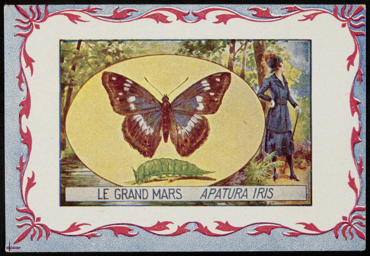 carte réclame chromo 1995.1.3968.8 Photo