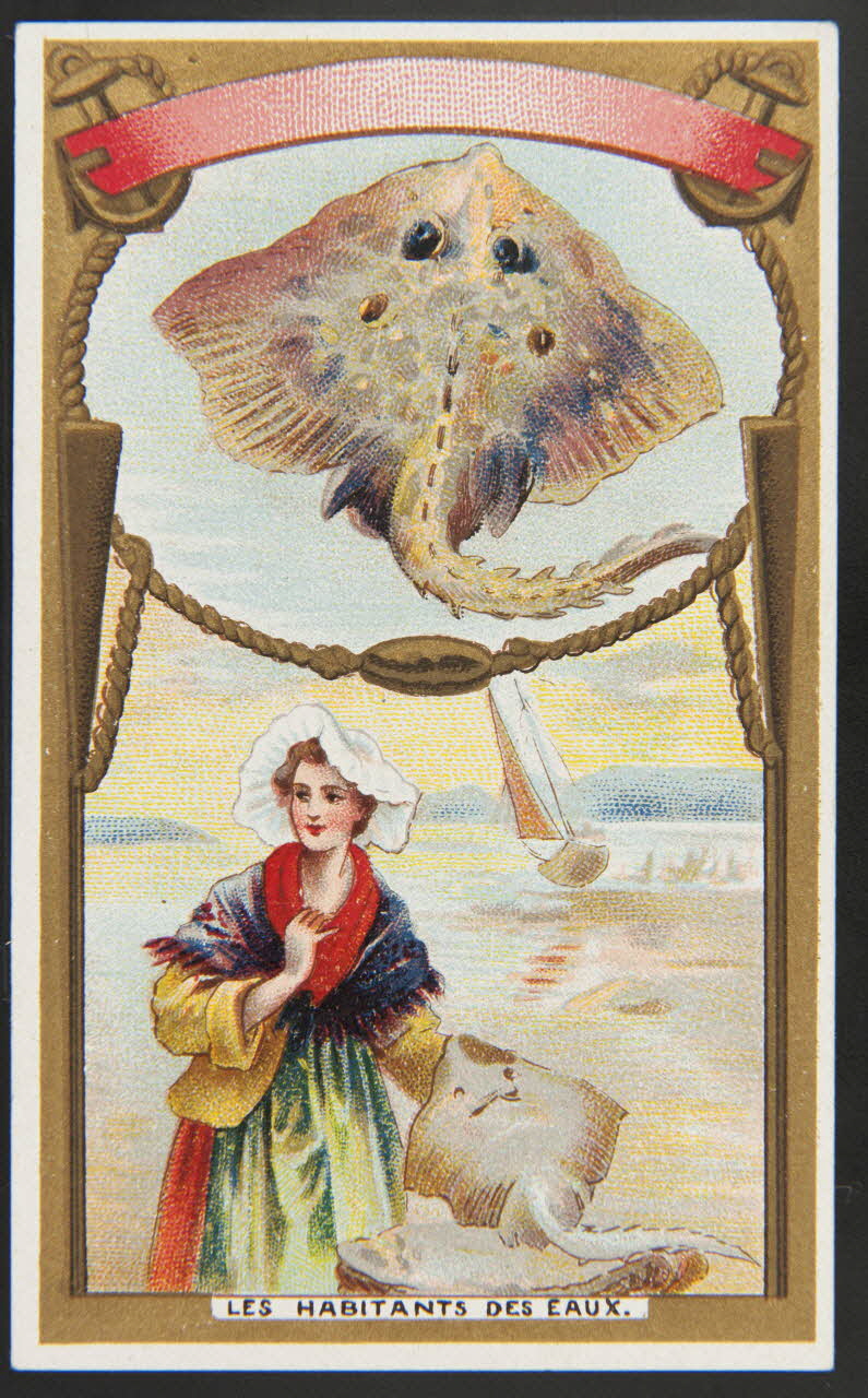 Hérold (éditeur), Gamichon Frères et Bisschop carte réclame chromo Paris 1895-1914 1995.1.3971.16 Photo