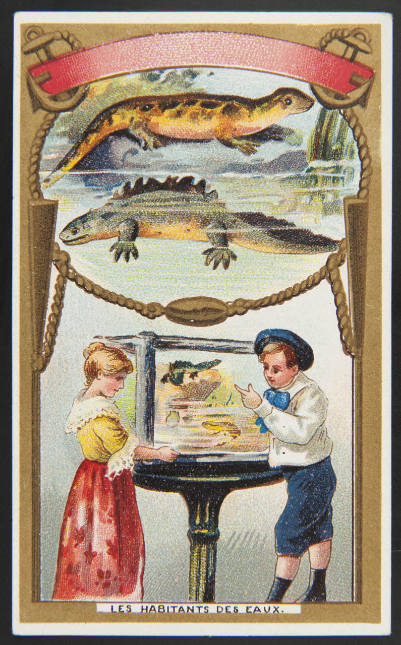 Hérold (éditeur), Gamichon Frères et Bisschop carte réclame chromo Paris 1895-1914 1995.1.3971.19 Photo