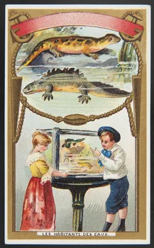 Hérold (éditeur), Gamichon Frères et Bisschop carte réclame chromo Paris 1895-1914 1995.1.3971.19 Photo