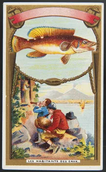 Hérold (éditeur), Gamichon Frères et Bisschop carte réclame chromo Paris 1895-1914 1995.1.3971.27  Photo