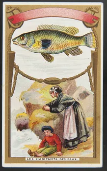 Hérold (éditeur), Gamichon Frères et Bisschop carte réclame chromo Paris 1895-1914 1995.1.3971.5  Photo