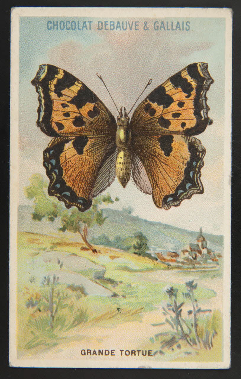 Herold; carte réclame chromo Paris 1895-1914 1995.1.3976.11 Photo