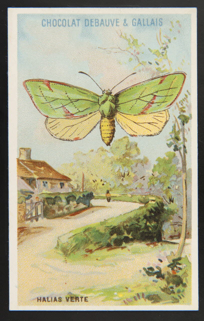 Herold; carte réclame chromo Paris 1895-1914 1995.1.3976.12 Photo