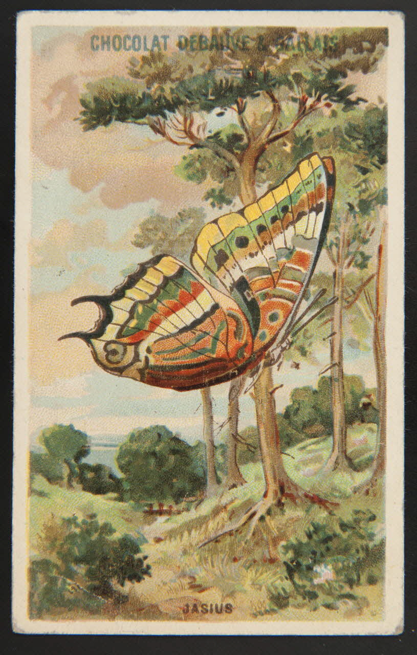 Herold; carte réclame chromo Paris 1895-1914 1995.1.3976.13 Photo