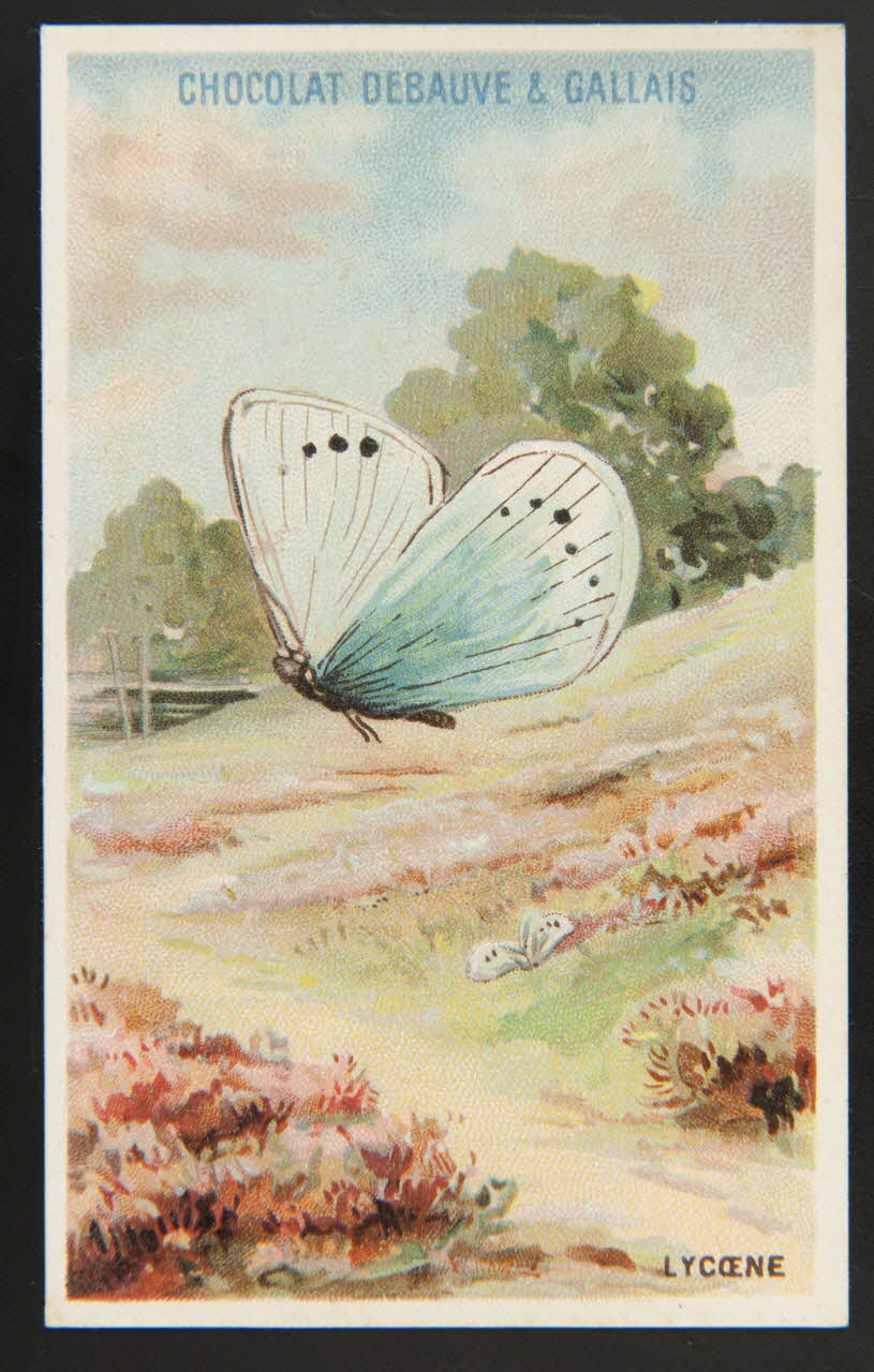 Herold; carte réclame chromo Paris 1895-1914 1995.1.3976.14 Photo