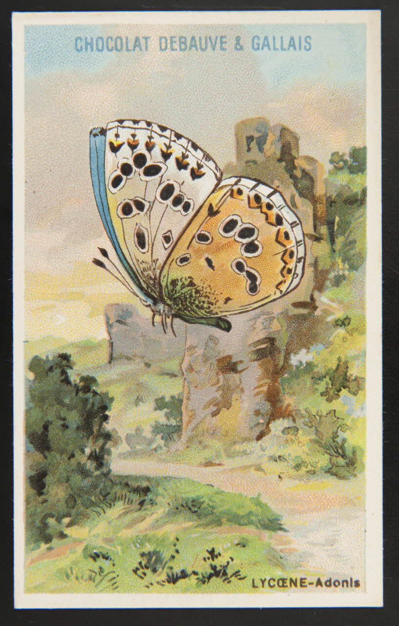 Herold; carte réclame chromo Paris 1895-1914 1995.1.3976.15 Photo