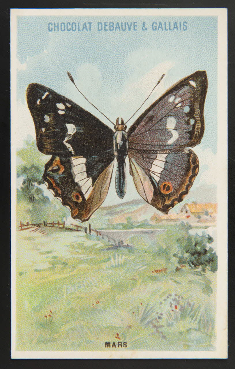Herold; carte réclame chromo Paris 1895-1914 1995.1.3976.17 Photo