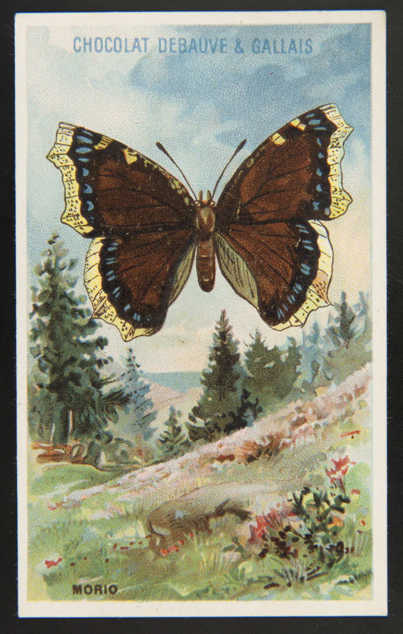 Herold; carte réclame chromo Paris 1895-1914 1995.1.3976.18 Photo