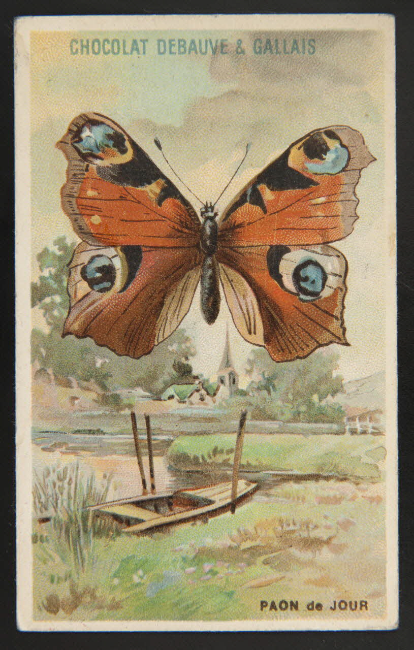 Herold; carte réclame chromo Paris 1895-1914 1995.1.3976.19 Photo