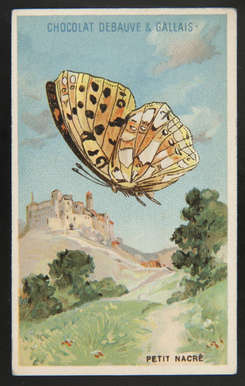 Herold; carte réclame chromo Paris 1895-1914 1995.1.3976.20 Photo