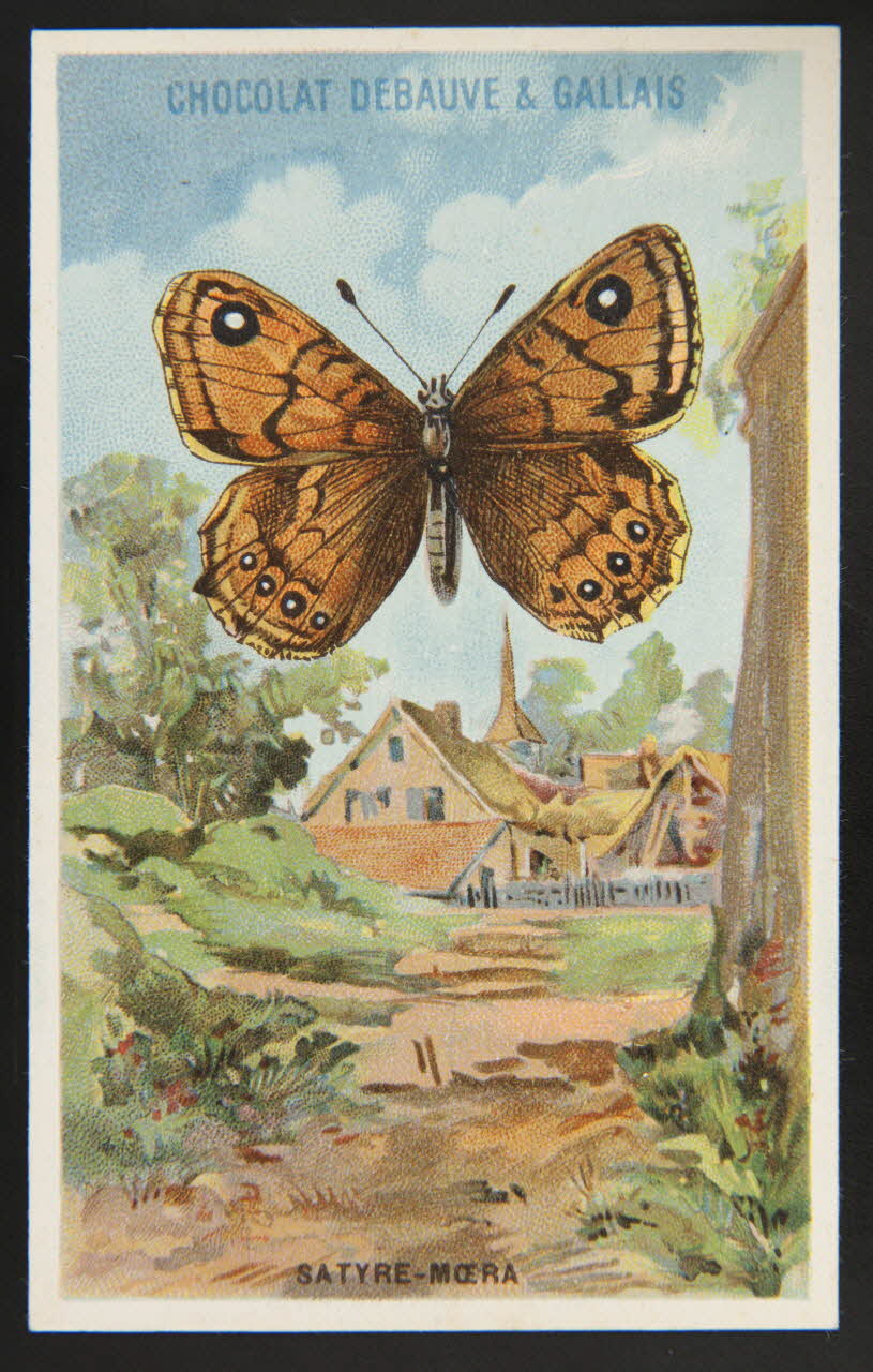 Herold; carte réclame chromo Paris 1895-1914 1995.1.3976.22 Photo