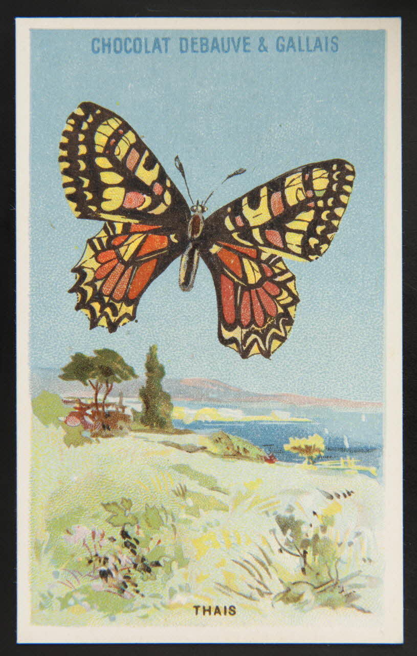 Herold; carte réclame chromo Paris 1895-1914 1995.1.3976.23 Photo