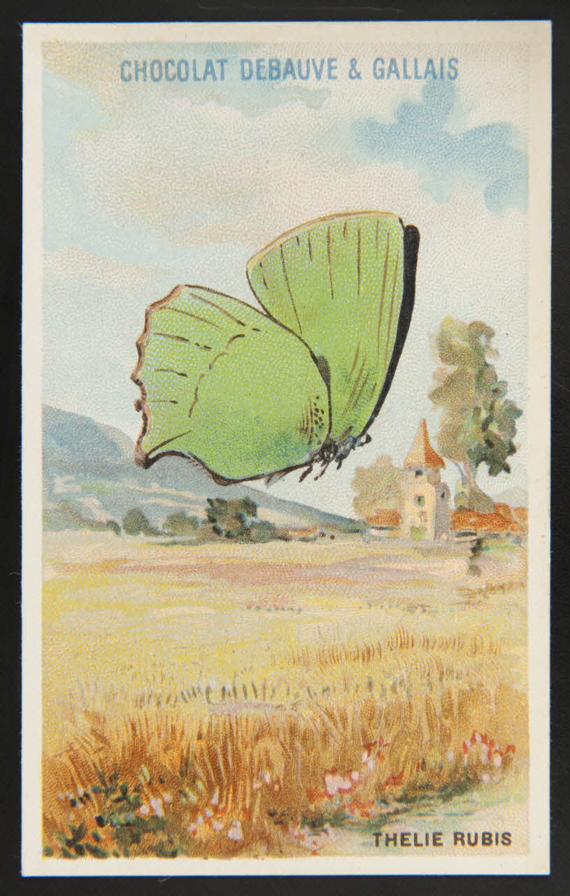 Herold; carte réclame chromo Paris 1895-1914 1995.1.3976.24 Photo