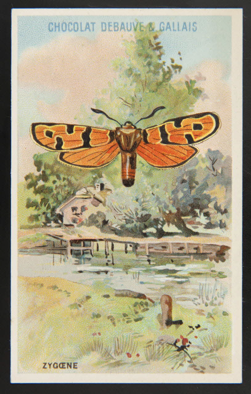 Herold; carte réclame chromo Paris 1895-1914 1995.1.3976.25 Photo