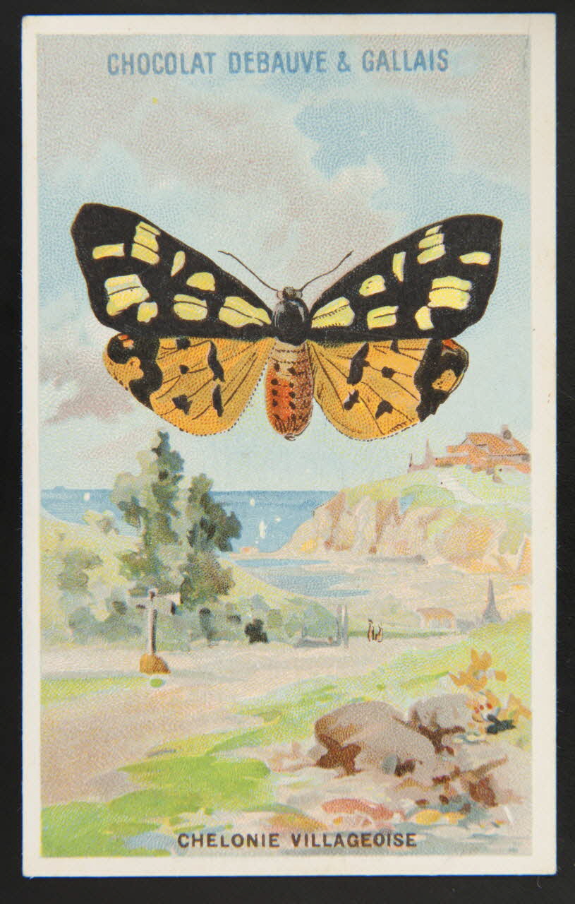 Herold; carte réclame chromo Paris 1895-1914 1995.1.3976.6 Photo