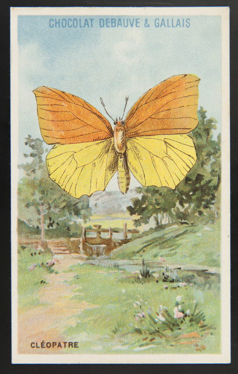 Herold; carte réclame chromo Paris 1895-1914 1995.1.3976.7 Photo