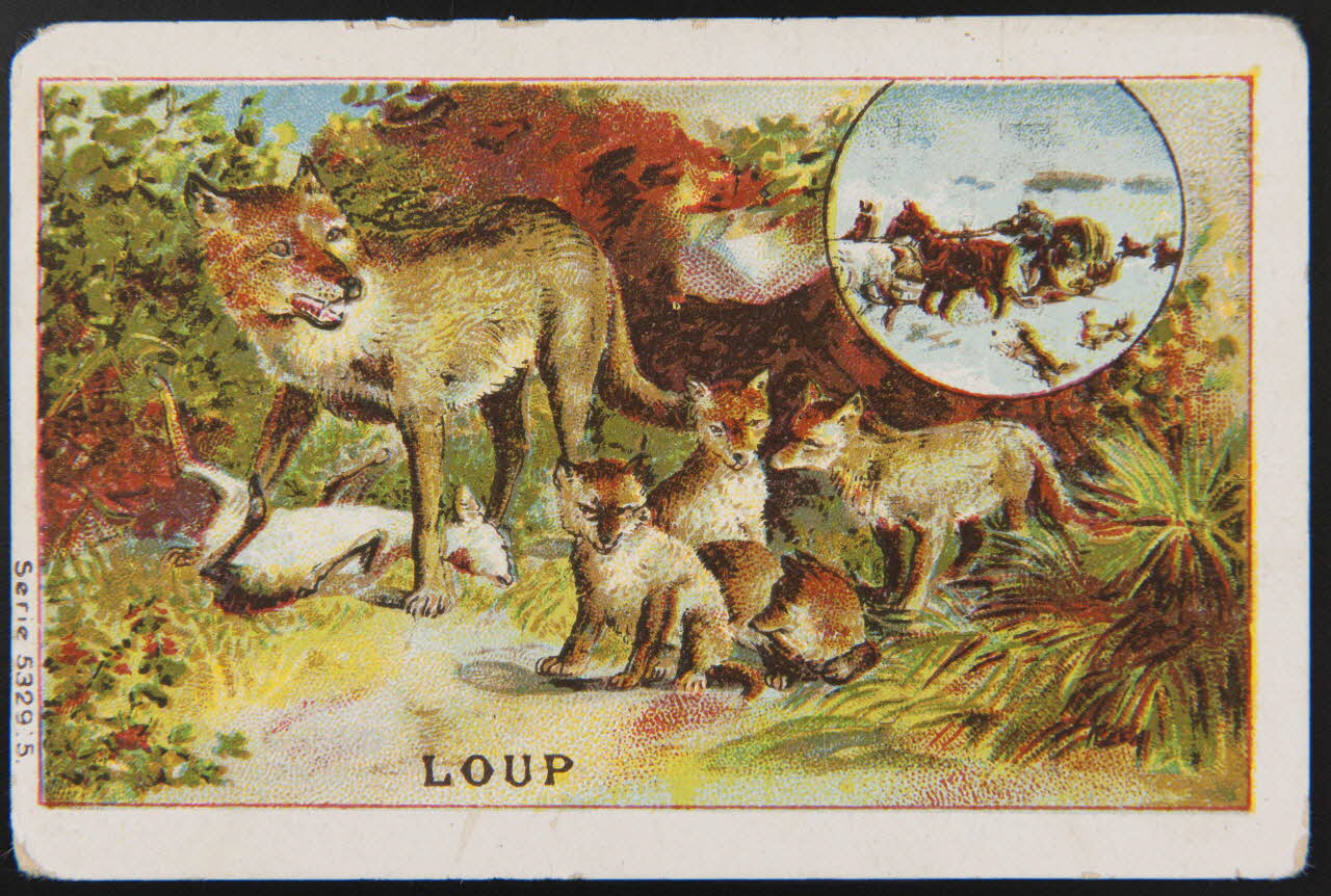 carte réclame chromo 1995.1.3995.1 Photo