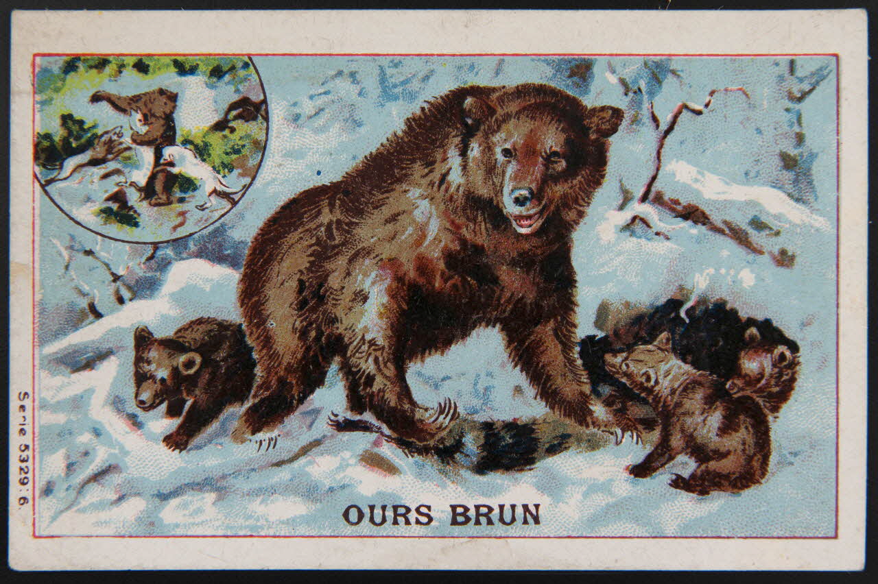 carte réclame chromo 1995.1.3995.2 Photo