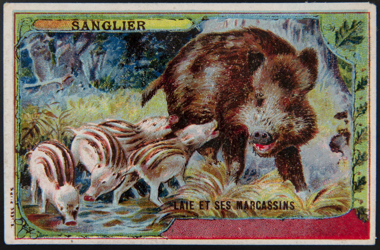 carte réclame chromo 1995.1.3997.1 Photo