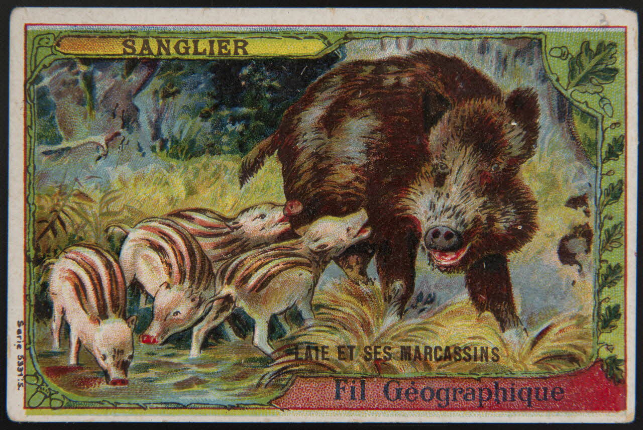 carte réclame chromo 1995.1.3997.2 Photo