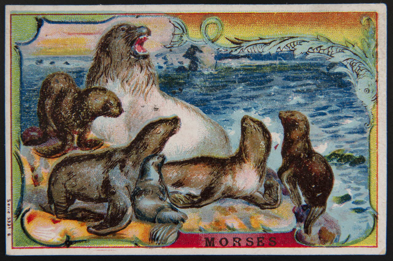 carte réclame chromo 1995.1.3997.3 Photo