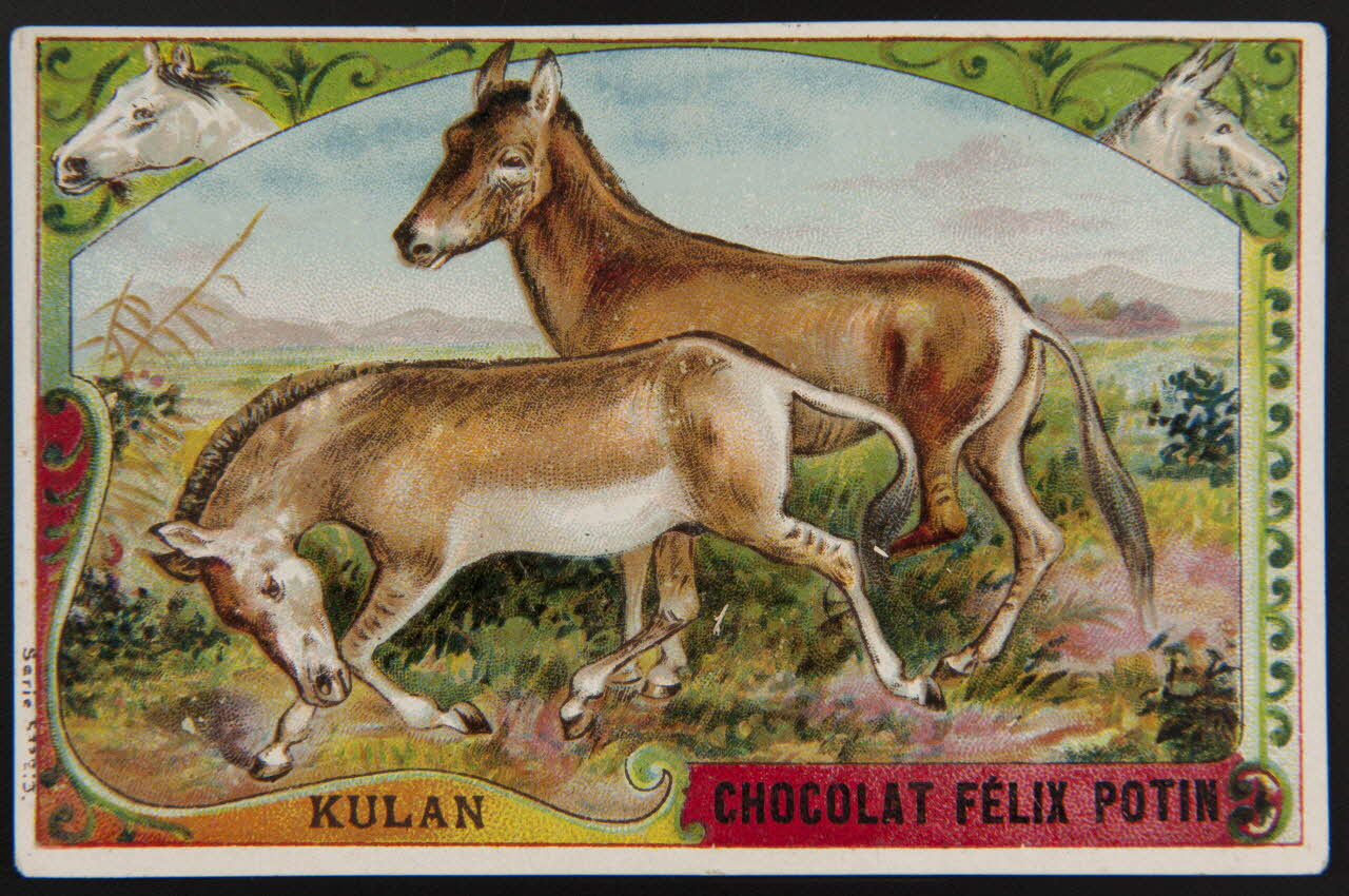 carte réclame chromo 1995.1.3998.2 Photo