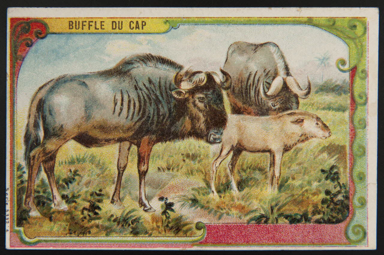 carte réclame chromo 1995.1.3998.4 Photo