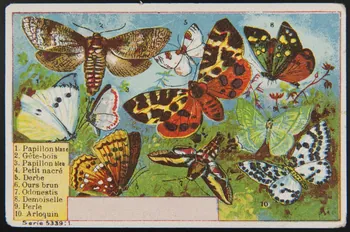 carte réclame chromo 1995.1.3999.1 Photo