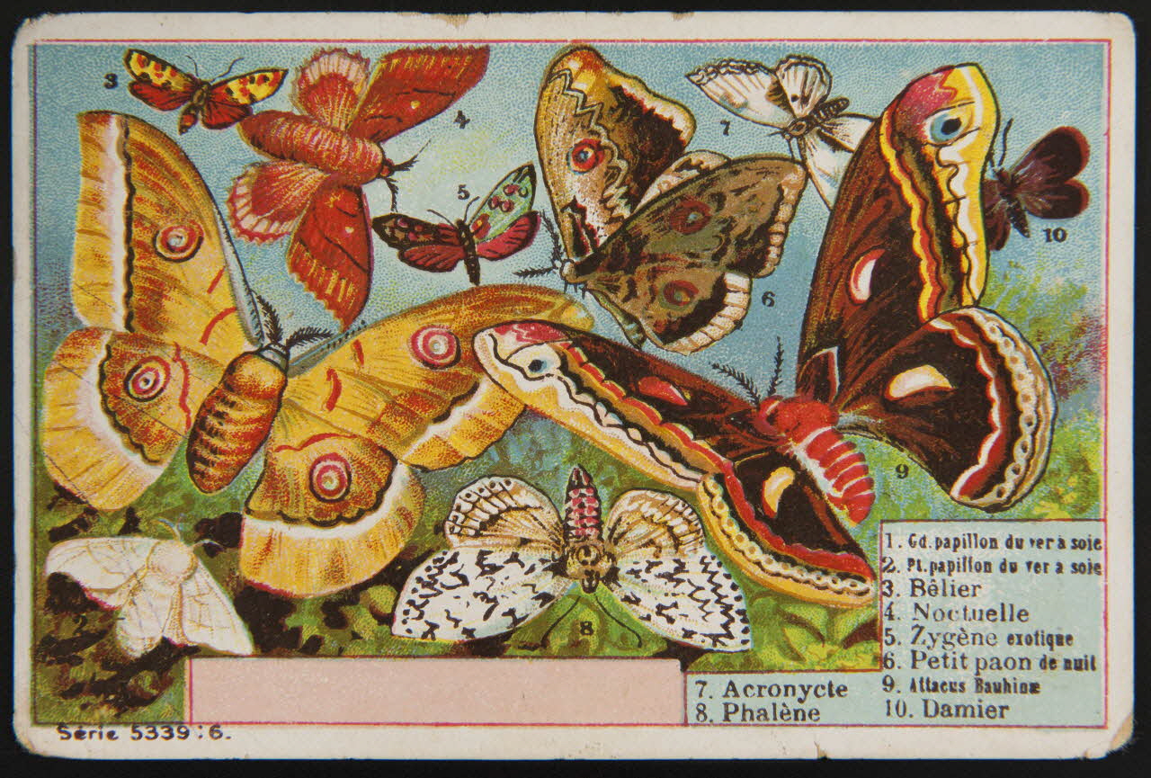 carte réclame chromo 1995.1.3999.4 Photo