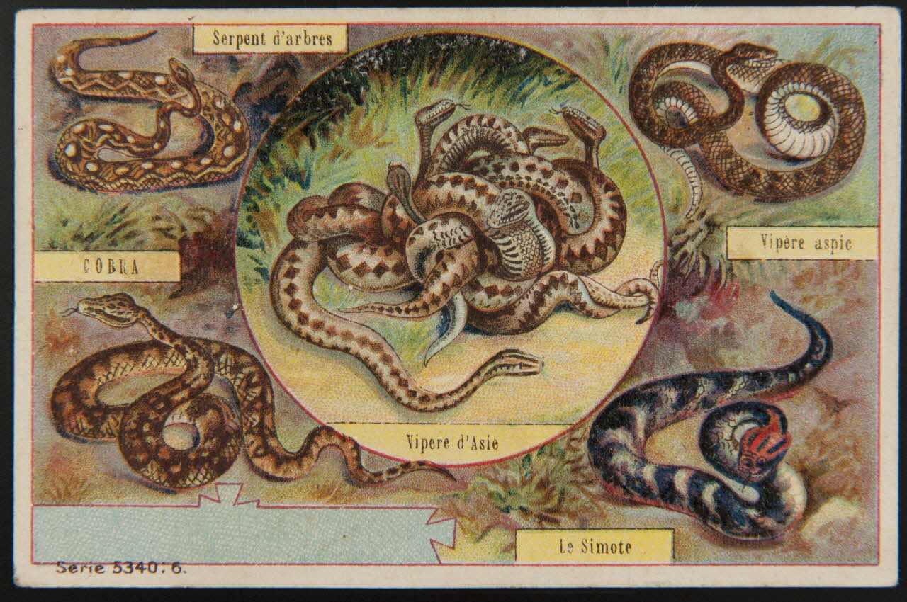 carte réclame chromo 1995.1.4000.1 Photo