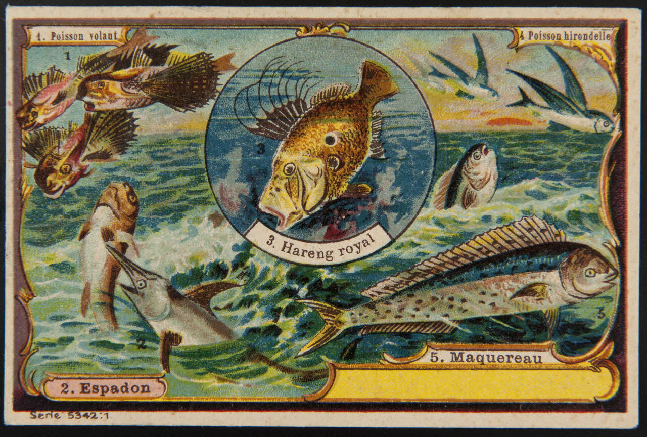 carte réclame chromo 1995.1.4002.1 Photo