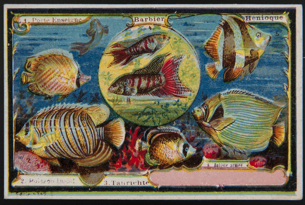 carte réclame chromo 1995.1.4002.2 Photo