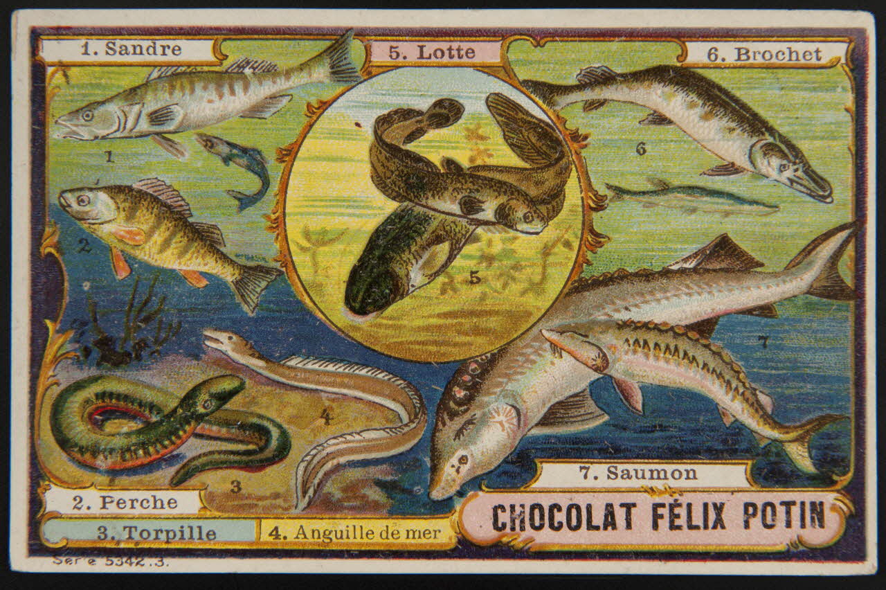 carte réclame chromo 1995.1.4002.3 Photo