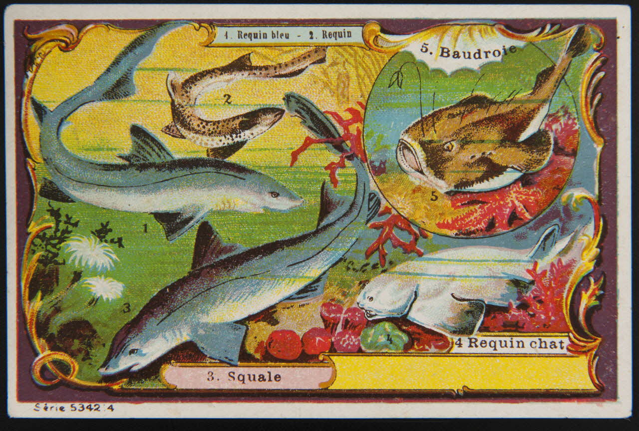 carte réclame chromo 1995.1.4002.4 Photo