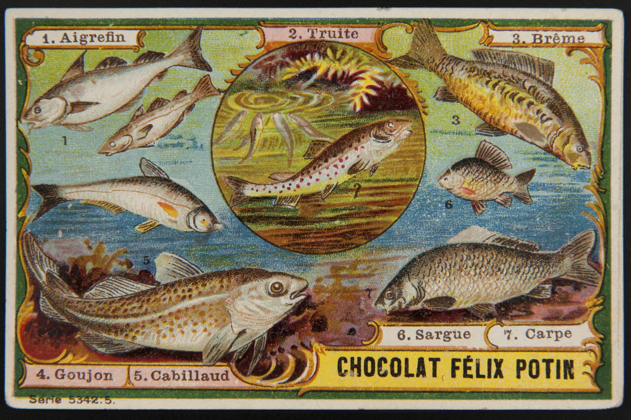 carte réclame chromo 1995.1.4002.5 Photo