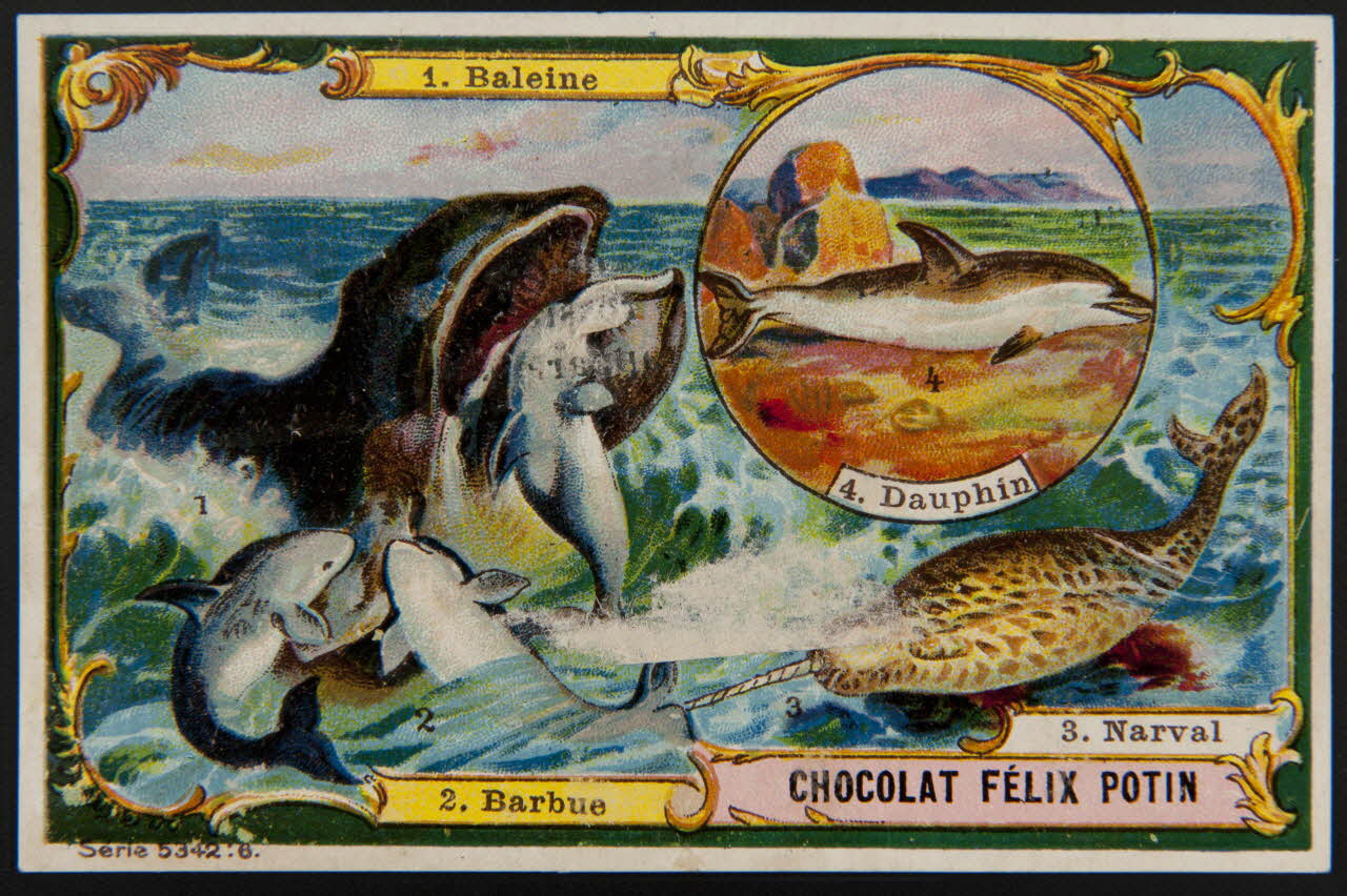 carte réclame chromo 1995.1.4002.6 Photo