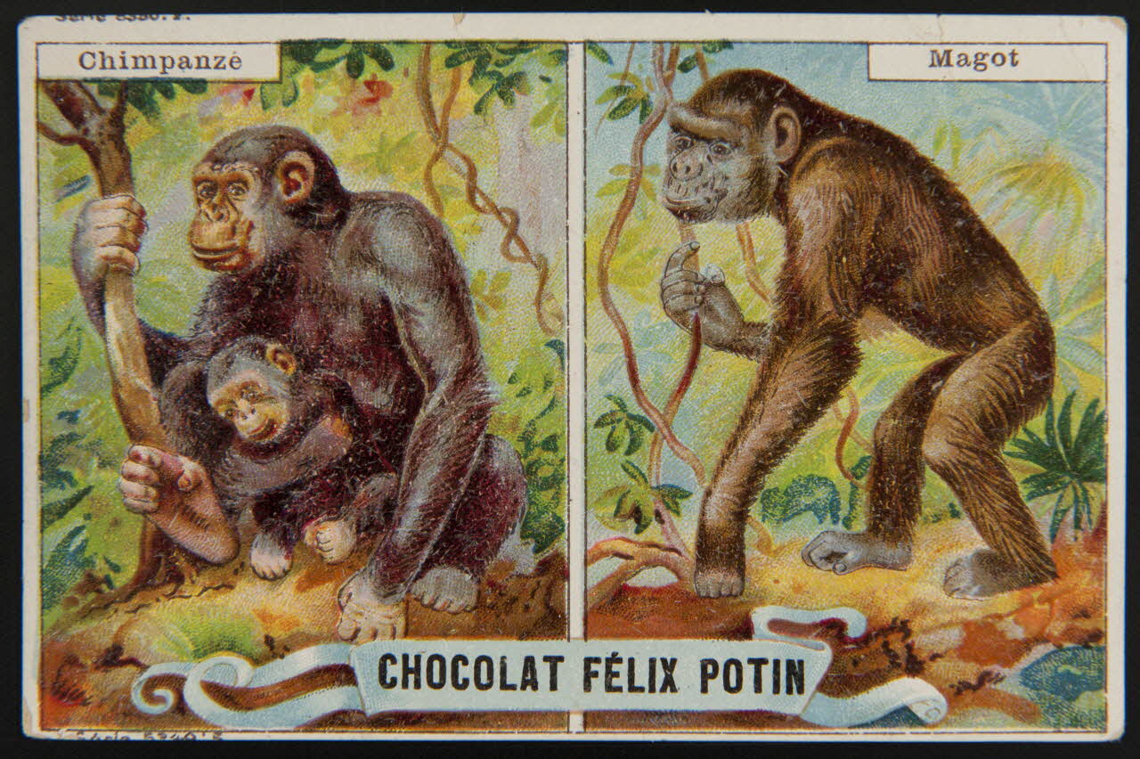 carte réclame chromo 1995.1.4003.1 Photo