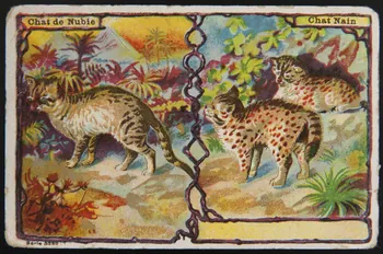 carte réclame chromo 1995.1.4004.1 Photo