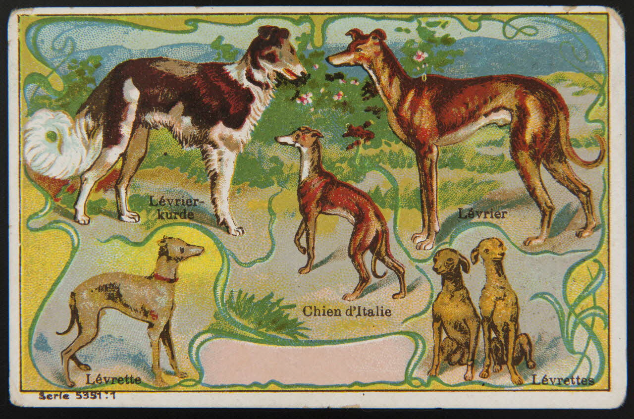 carte réclame chromo 1995.1.4005.1 Photo