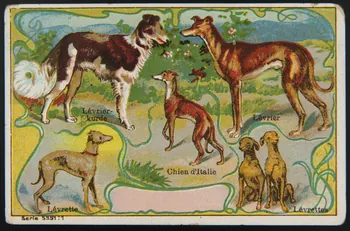 carte réclame chromo 1995.1.4005.1 Photo