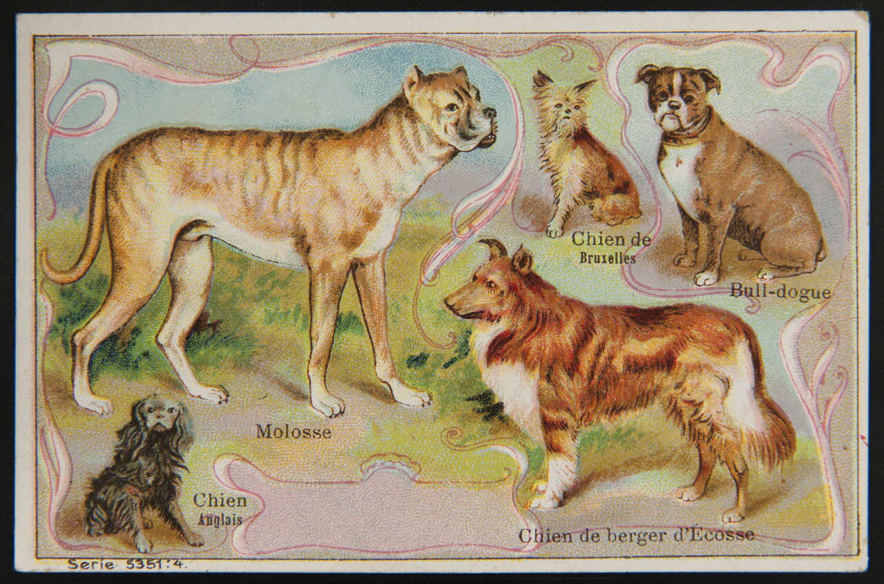 carte réclame chromo 1995.1.4005.4 Photo