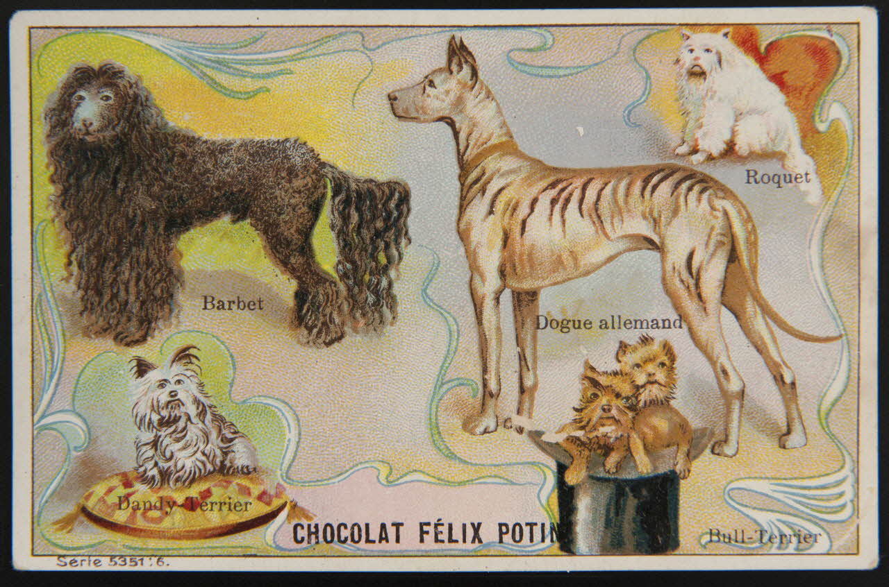 carte réclame chromo 1995.1.4005.5 Photo