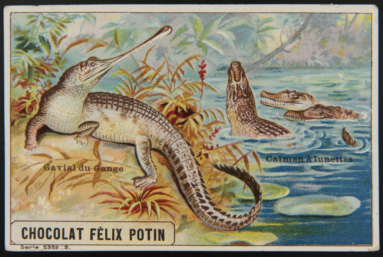 carte réclame chromo 1995.1.4006.1 Photo