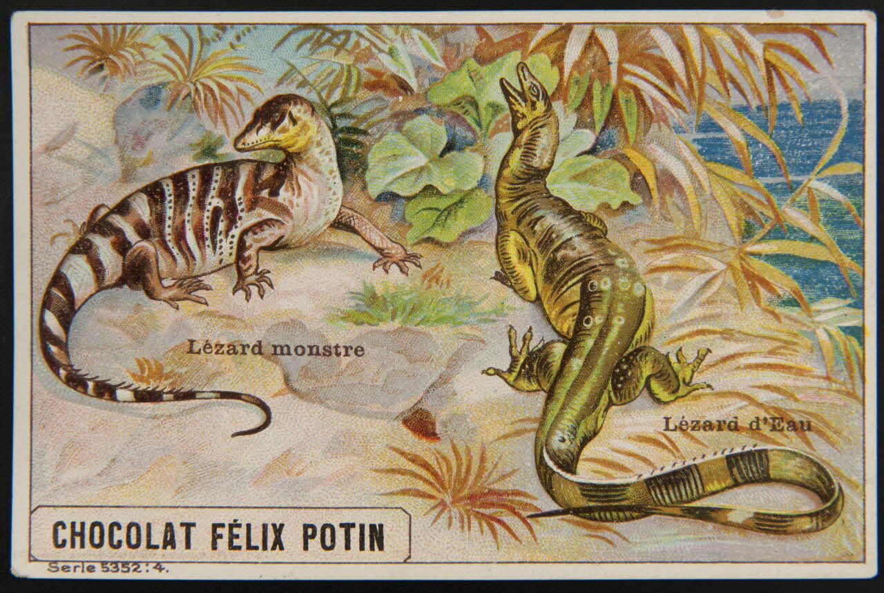 carte réclame chromo 1995.1.4006.2 Photo