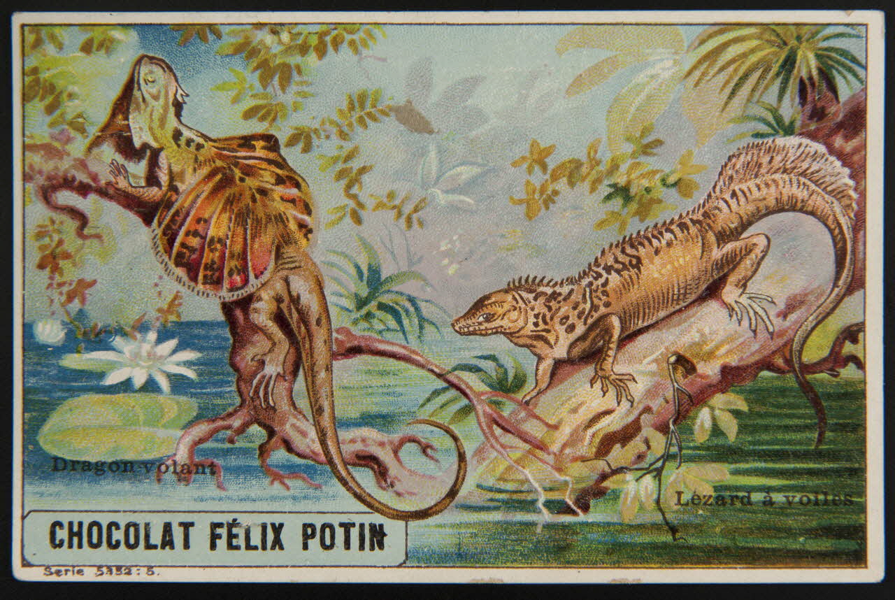 carte réclame chromo 1995.1.4006.3 Photo