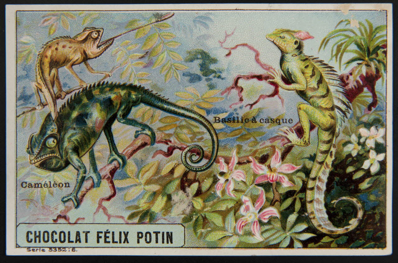 carte réclame chromo 1995.1.4006.4 Photo