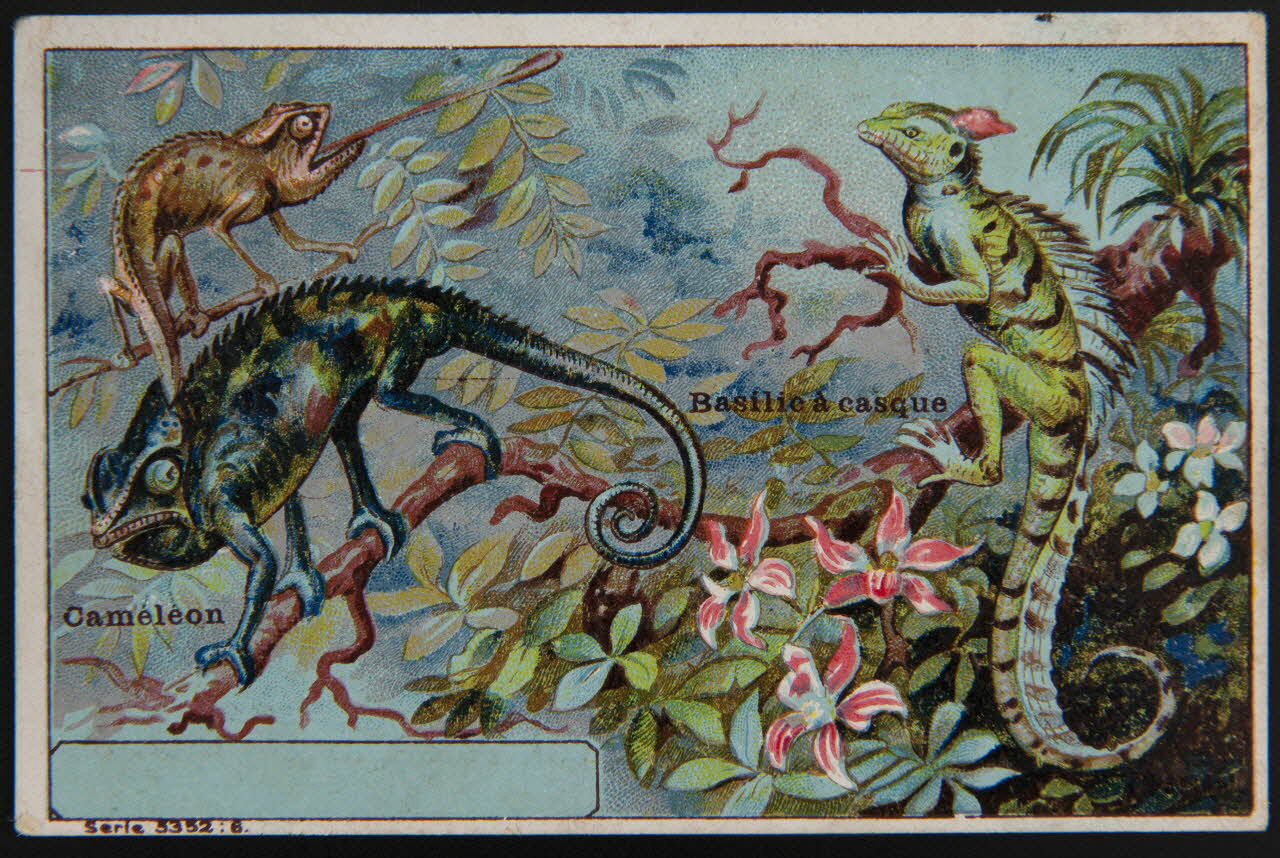 carte réclame chromo 1995.1.4006.5 Photo