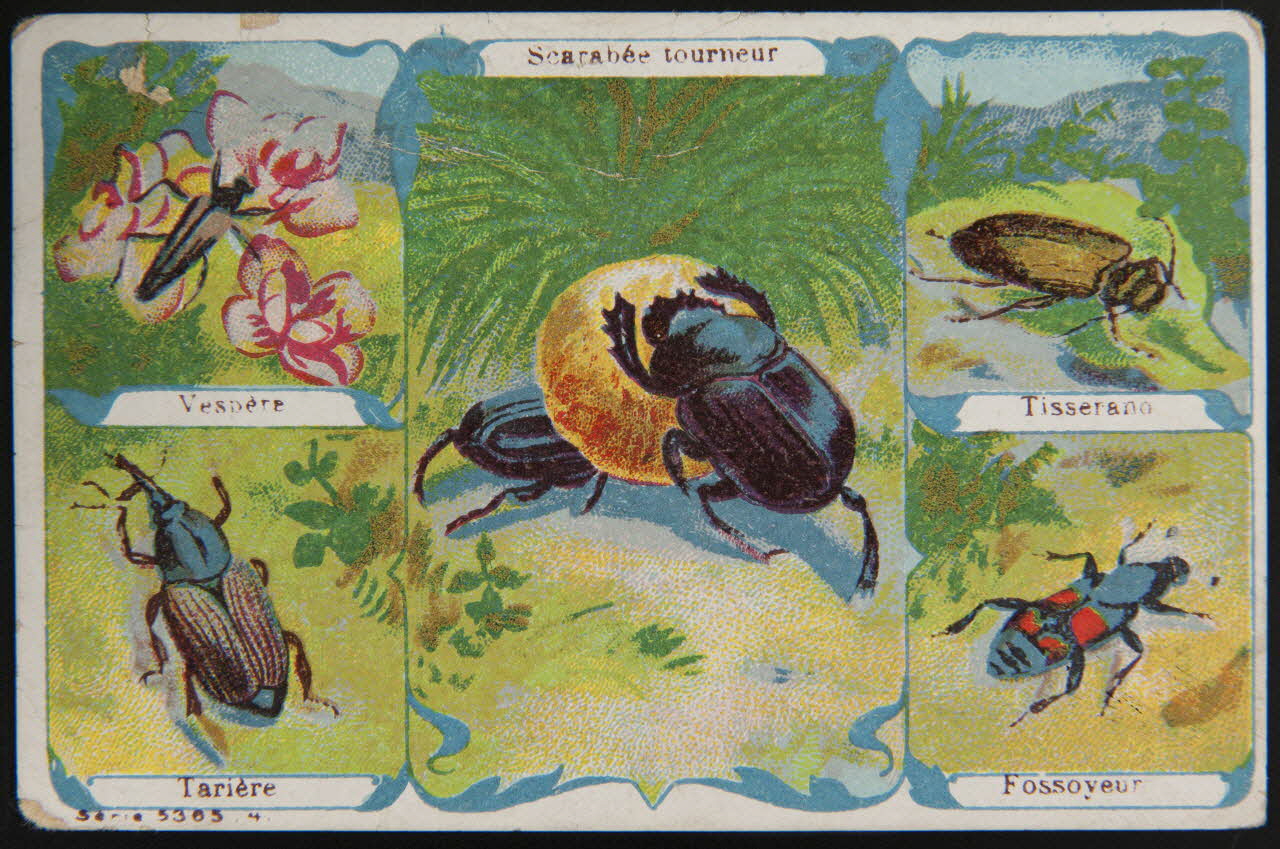 carte réclame chromo 1995.1.4008.4 Photo