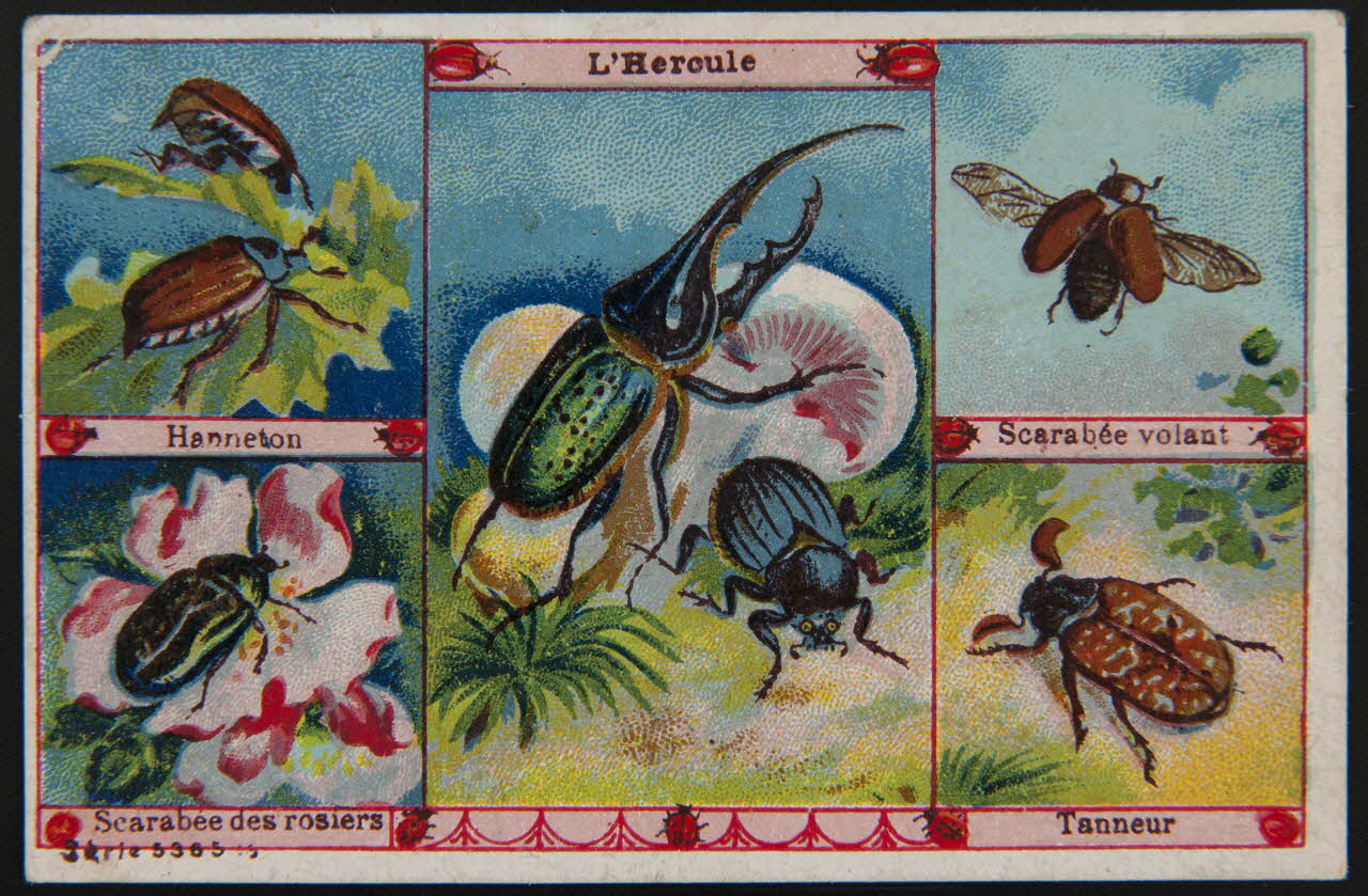 carte réclame chromo 1995.1.4008.7 Photo